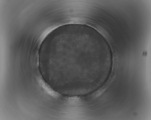 X0000111800838200909031227