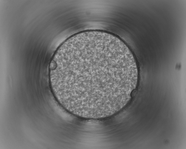X0000111800842200909031227