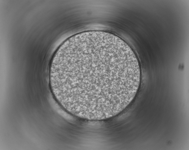 X0000111800843200909031227