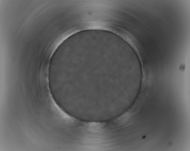 X0000111800847200909031227