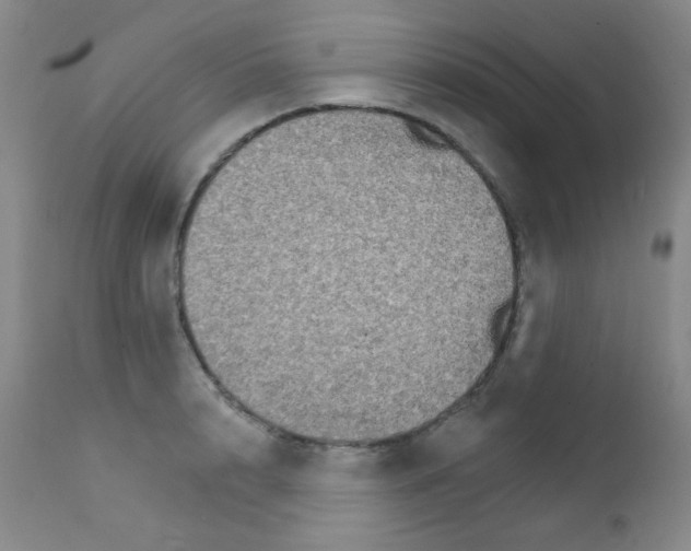 X0000111800848200909031227
