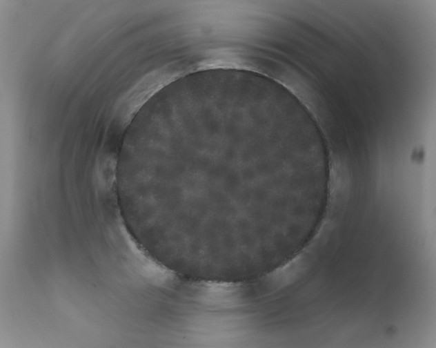 X0000111800849200909031227
