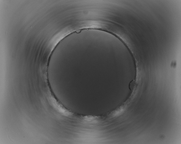 X0000111800850200909031227