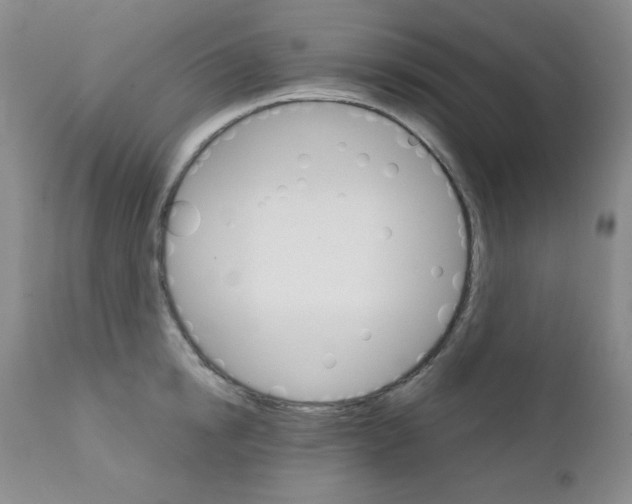 X0000111800854200909031228