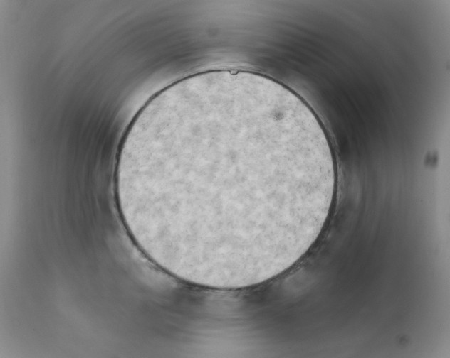 X0000111800861200909031228