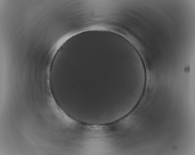 X0000111800862200909031228