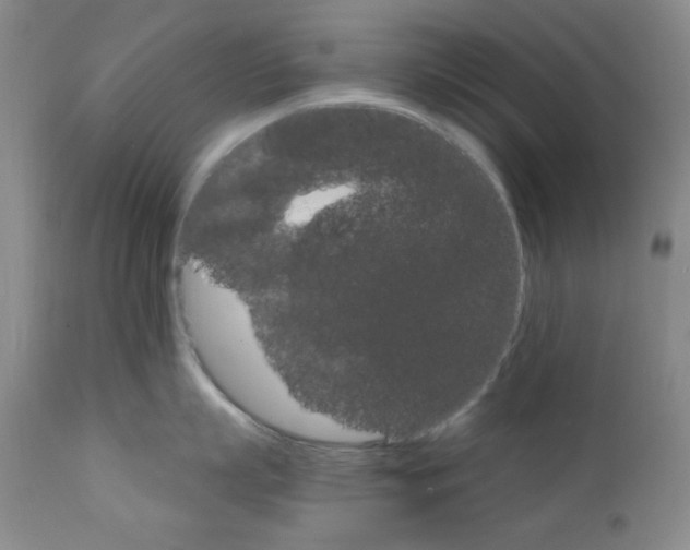 X0000111800863200909031228