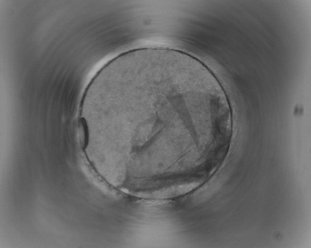 X0000111800864200909031228