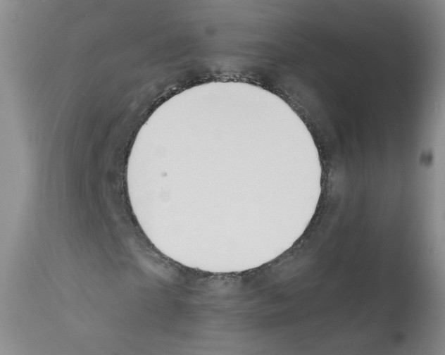 X0000111800865200909031227