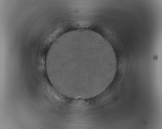 X0000111800866200909031227