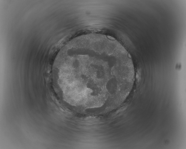 X0000111800867200909031227