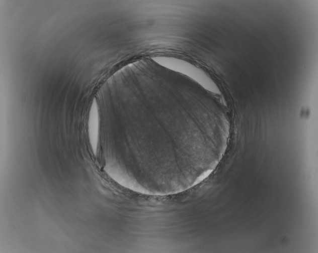 X0000111800868200909031227