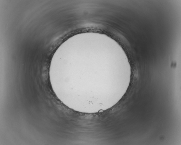 X0000111800869200909031227