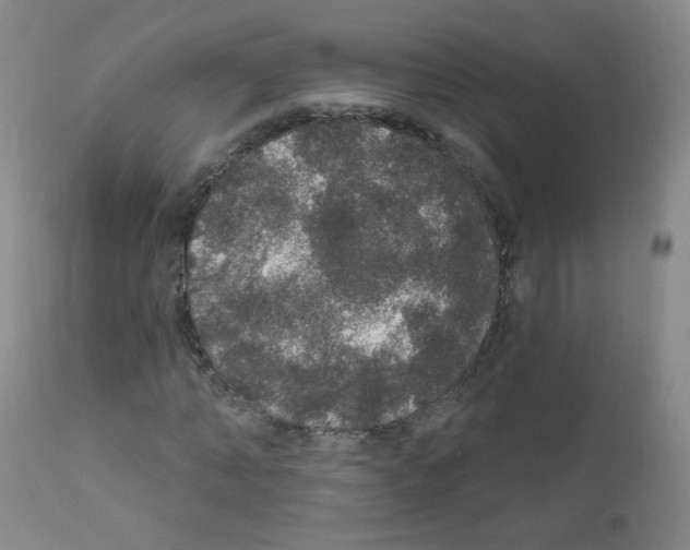 X0000111800870200909031227