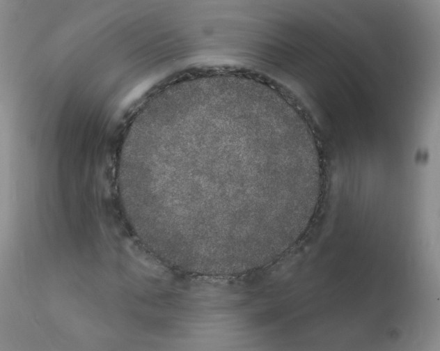 X0000111800871200909031227