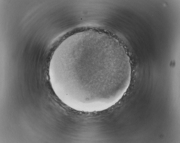 X0000111800872200909031227
