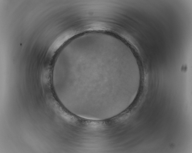 X0000111800874200909031227