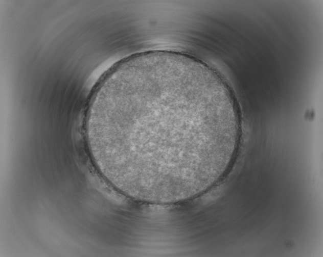 X0000111800875200909031227