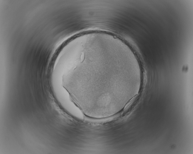 X0000111800876200909031227