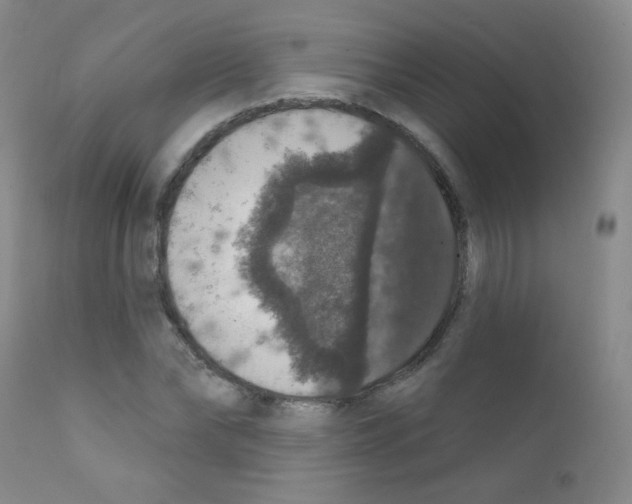 X0000111800878200909031227