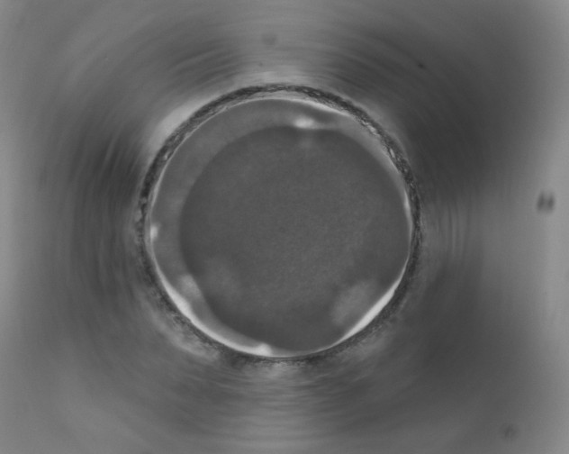X0000111800879200909031227