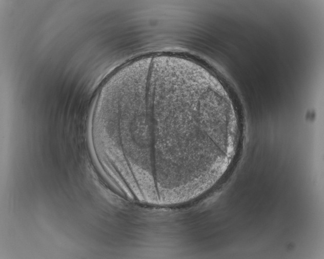X0000111800881200909031227
