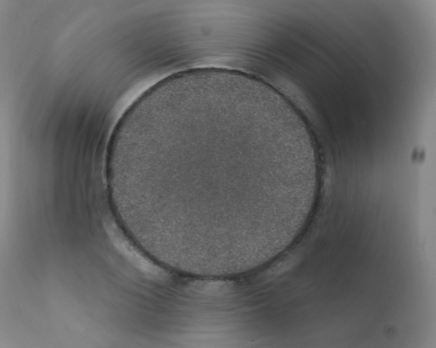 X0000111800884200909031227