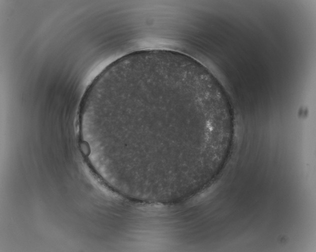 X0000111800885200909031227