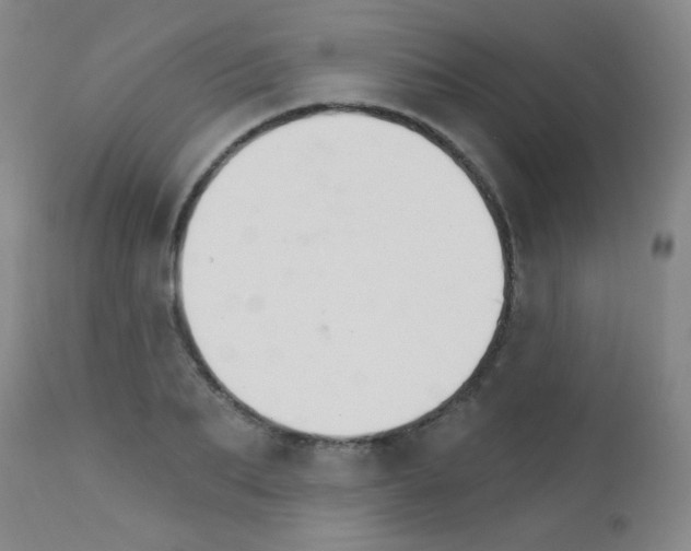 X0000111800887200909031227