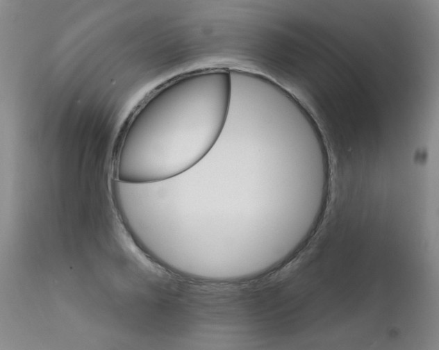 X0000111800888200909031227