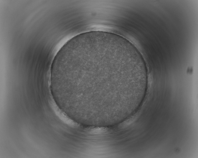 X0000111800891200909031226