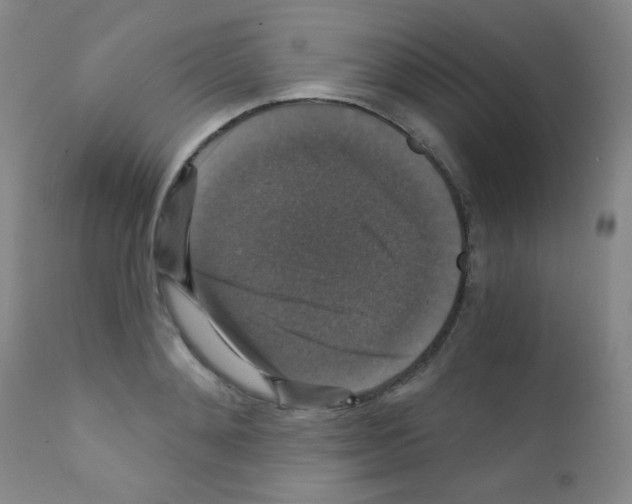 X0000111800892200909031226