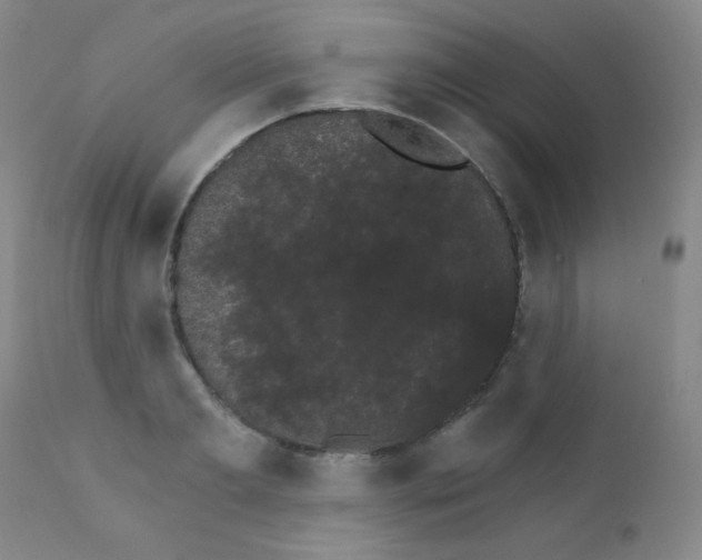 X0000111800893200909031226