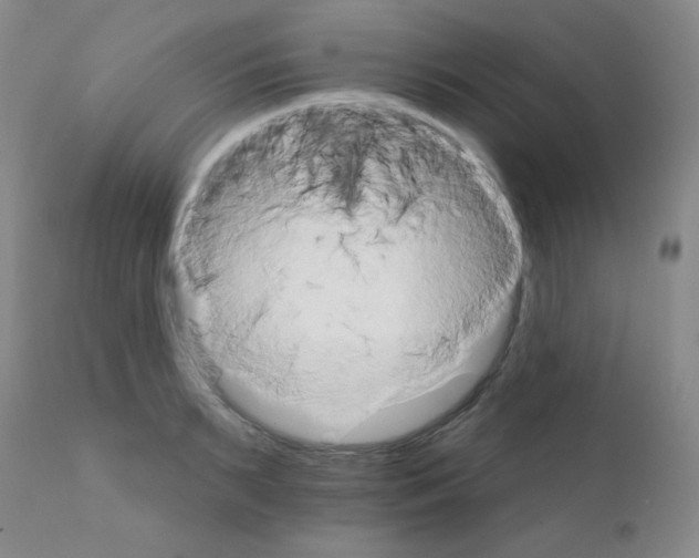 X0000111800895200909031226