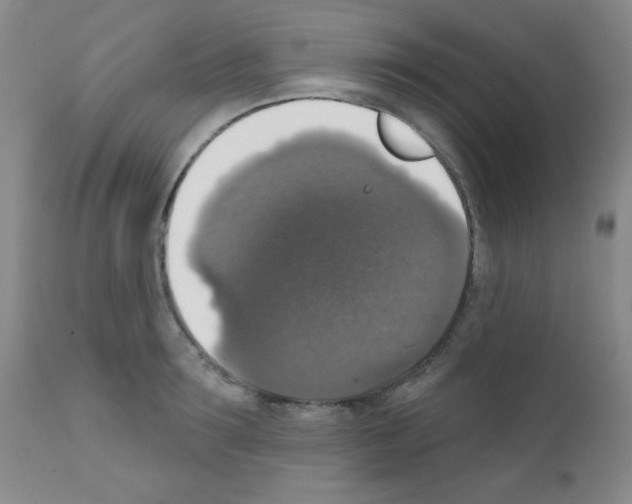 X0000111800899200909031226