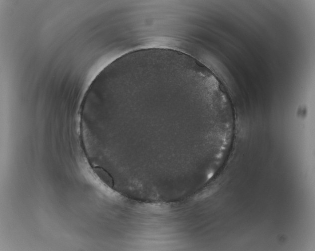 X0000111800900200909031226