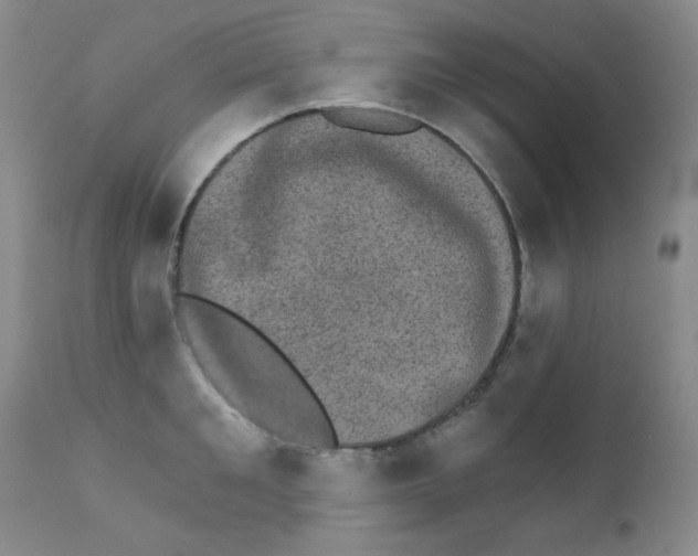 X0000111800901200909031226