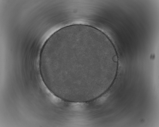 X0000111800902200909031226