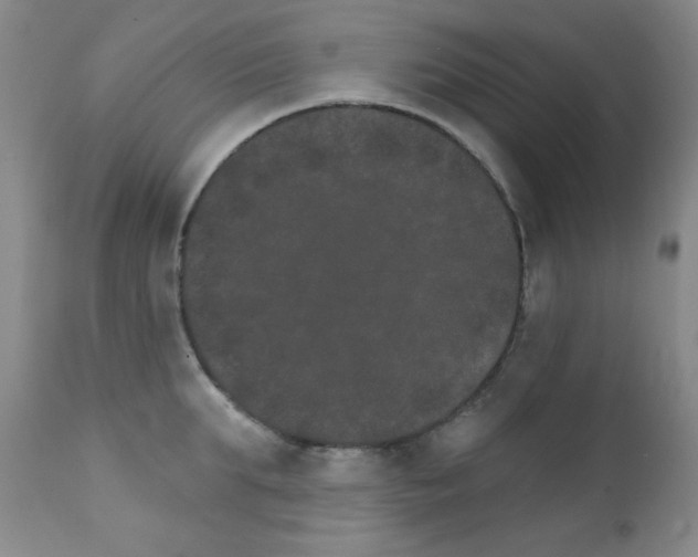 X0000111800903200909031226