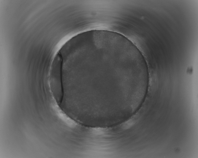 X0000111800904200909031226
