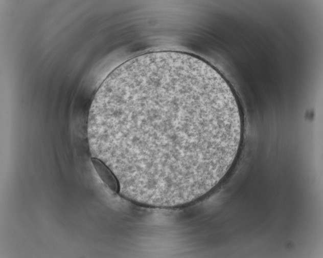 X0000111800905200909031226
