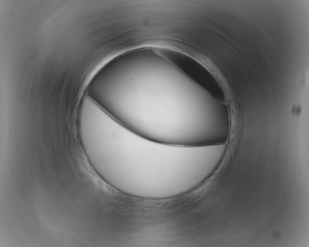 X0000111800908200909031226
