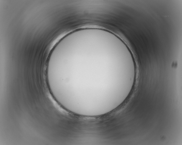 X0000111800909200909031226