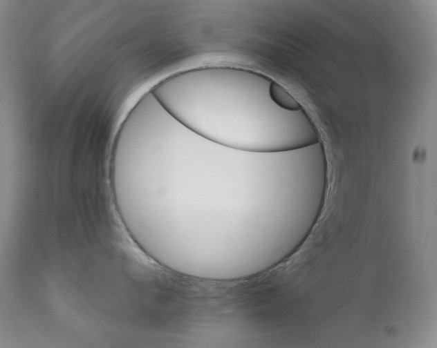 X0000111800912200909031226