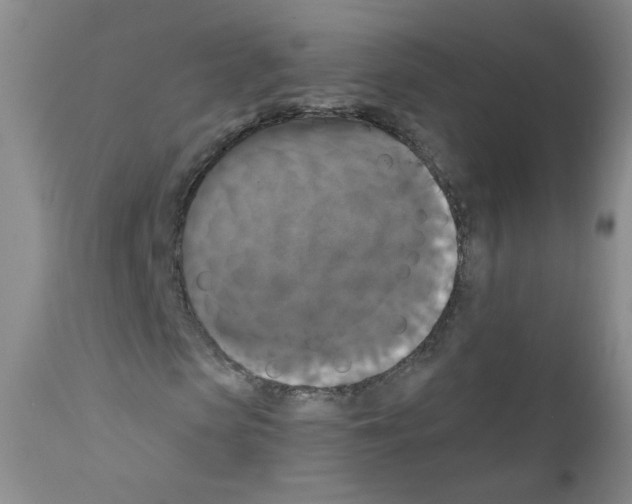 X0000111800913200909031226