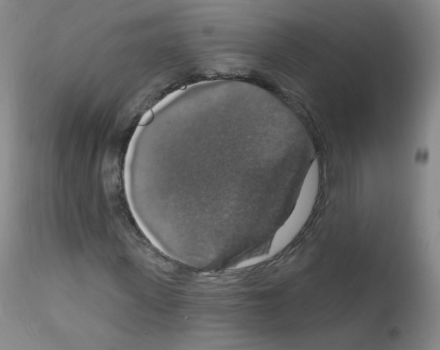 X0000111800915200909031226