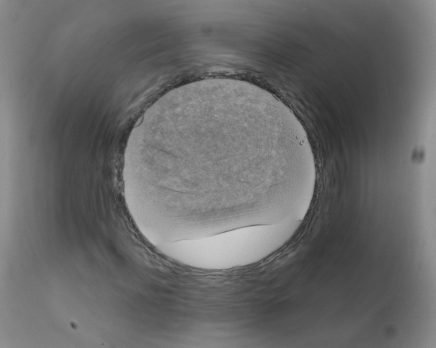 X0000111800916200909031226