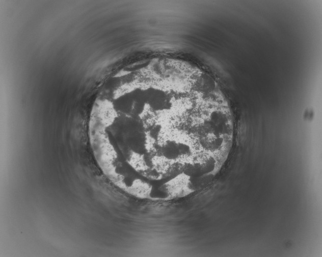 X0000111800917200909031226
