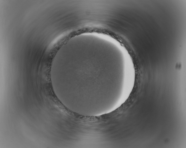 X0000111800919200909031226