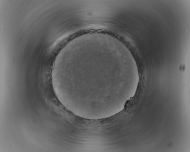 X0000111800920200909031226